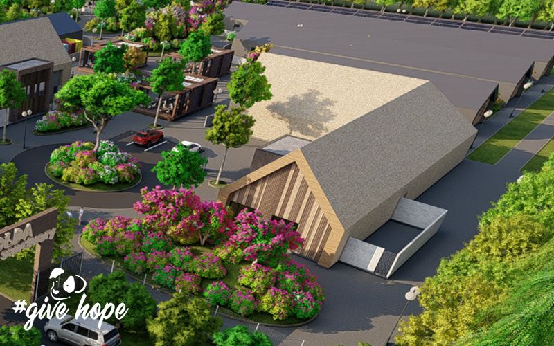 Small animals veterinary clinic